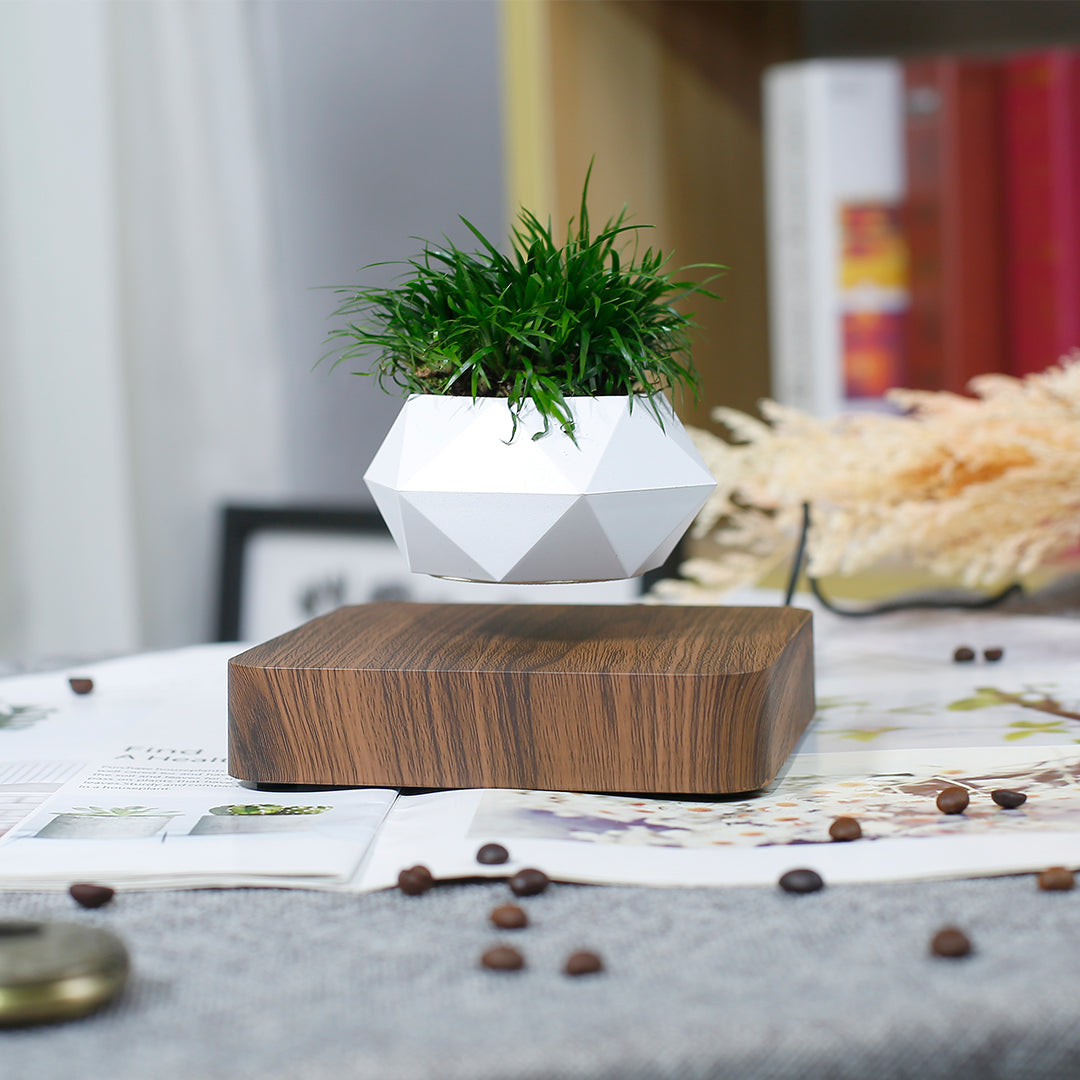 Levitating Plant pot