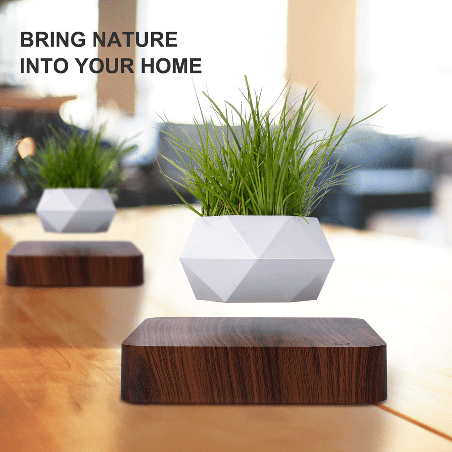 Levitating Plant pot