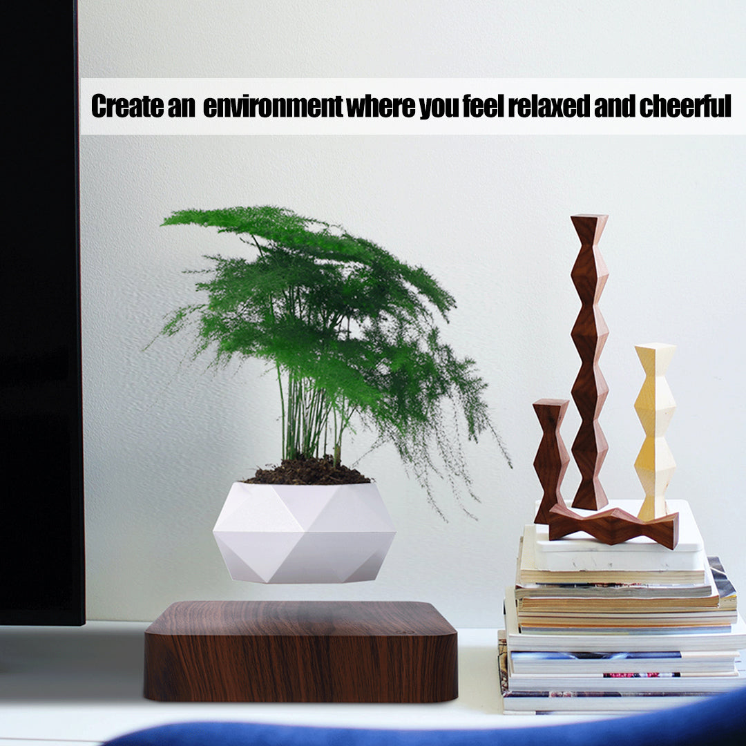 Levitating Plant pot