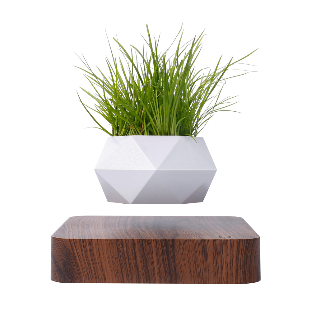 Levitating Plant pot