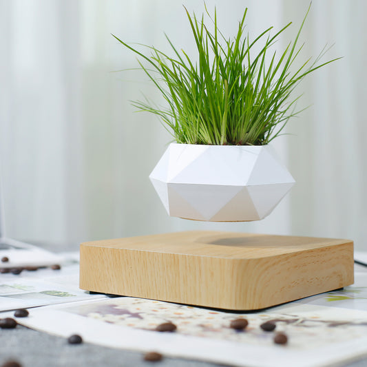 Levitating Plant pot